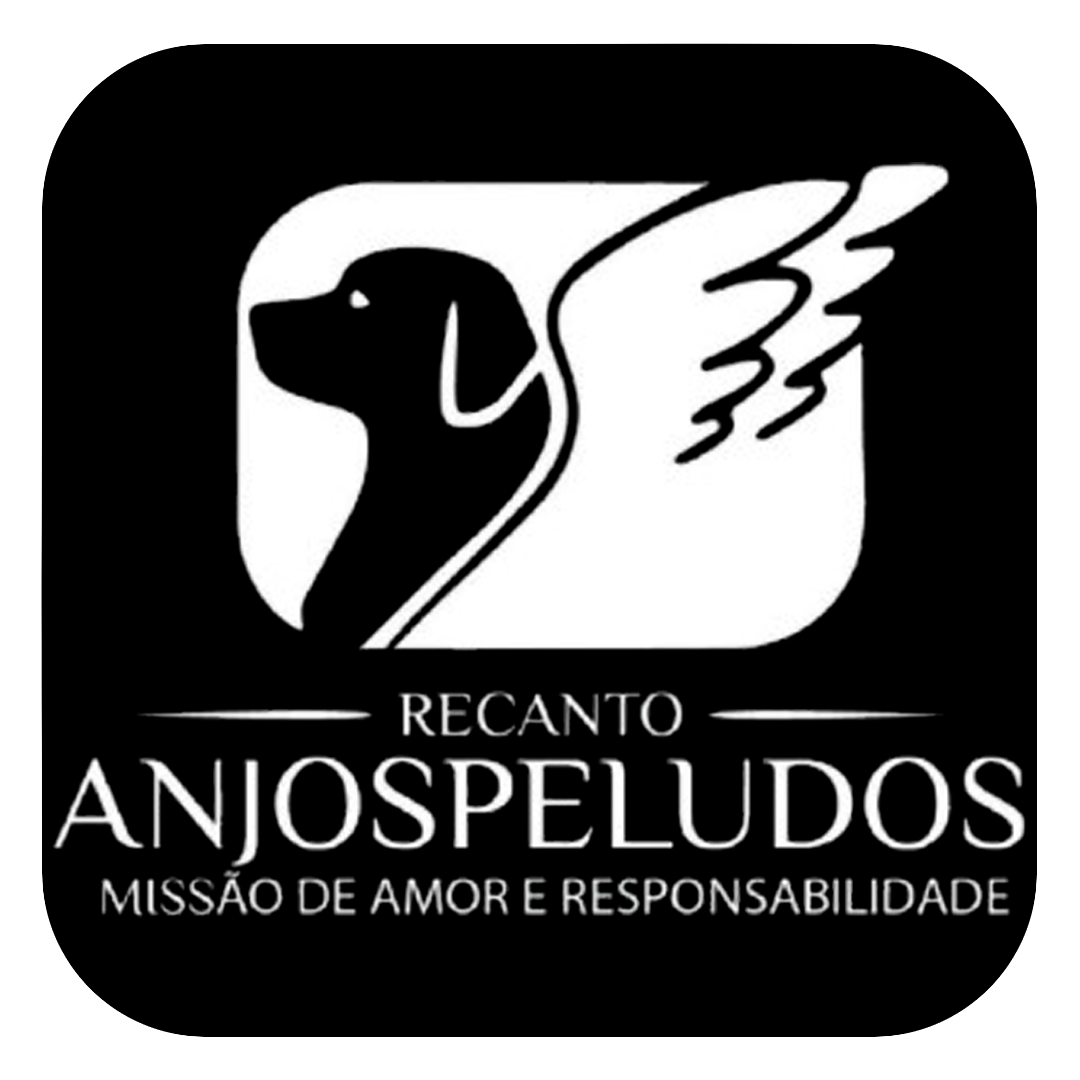 Organizador